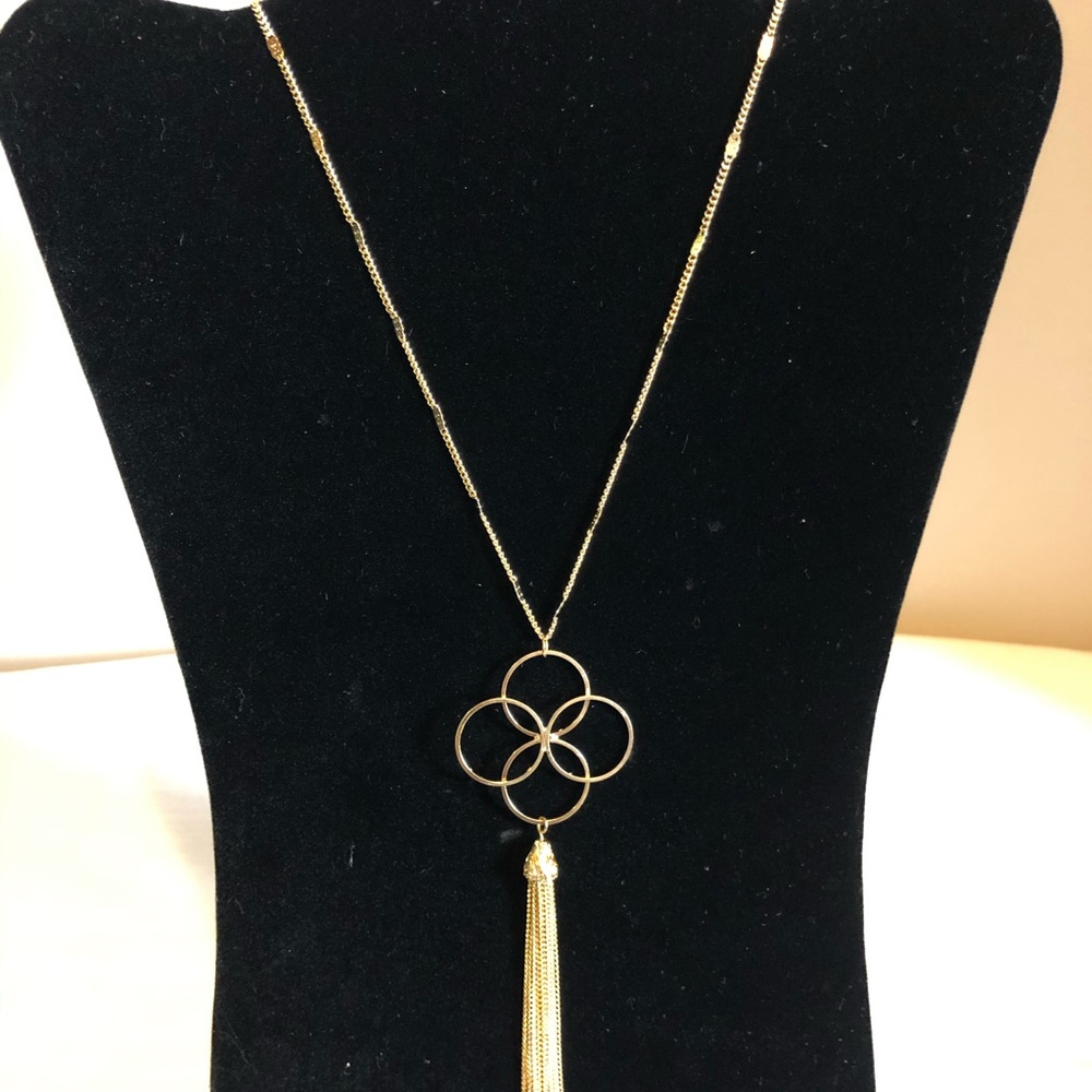 Alfani necklace